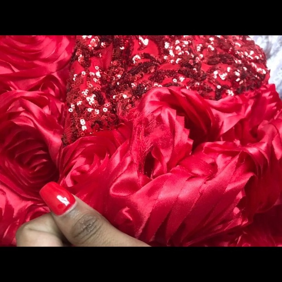 Prom Dress - Picture 5 of 5